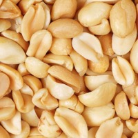 AMENDOIM SEM PELE (SEM SAL) TORRADO 100g