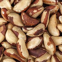 CASTANHA DO PARA MIDGET 100g