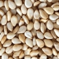 GERGELIM COM CASCA NATURAL 100g